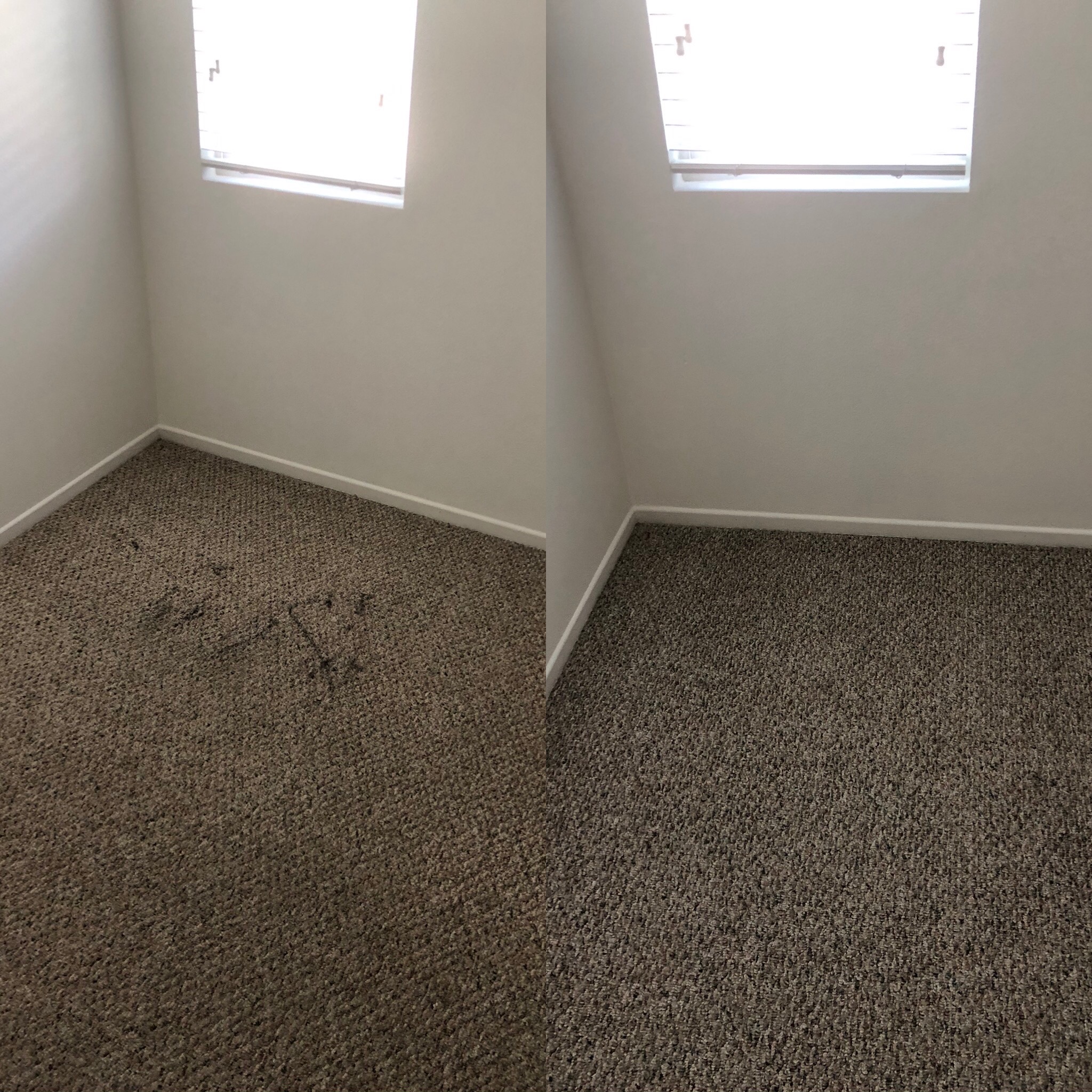 Ultimate Carpet Care
