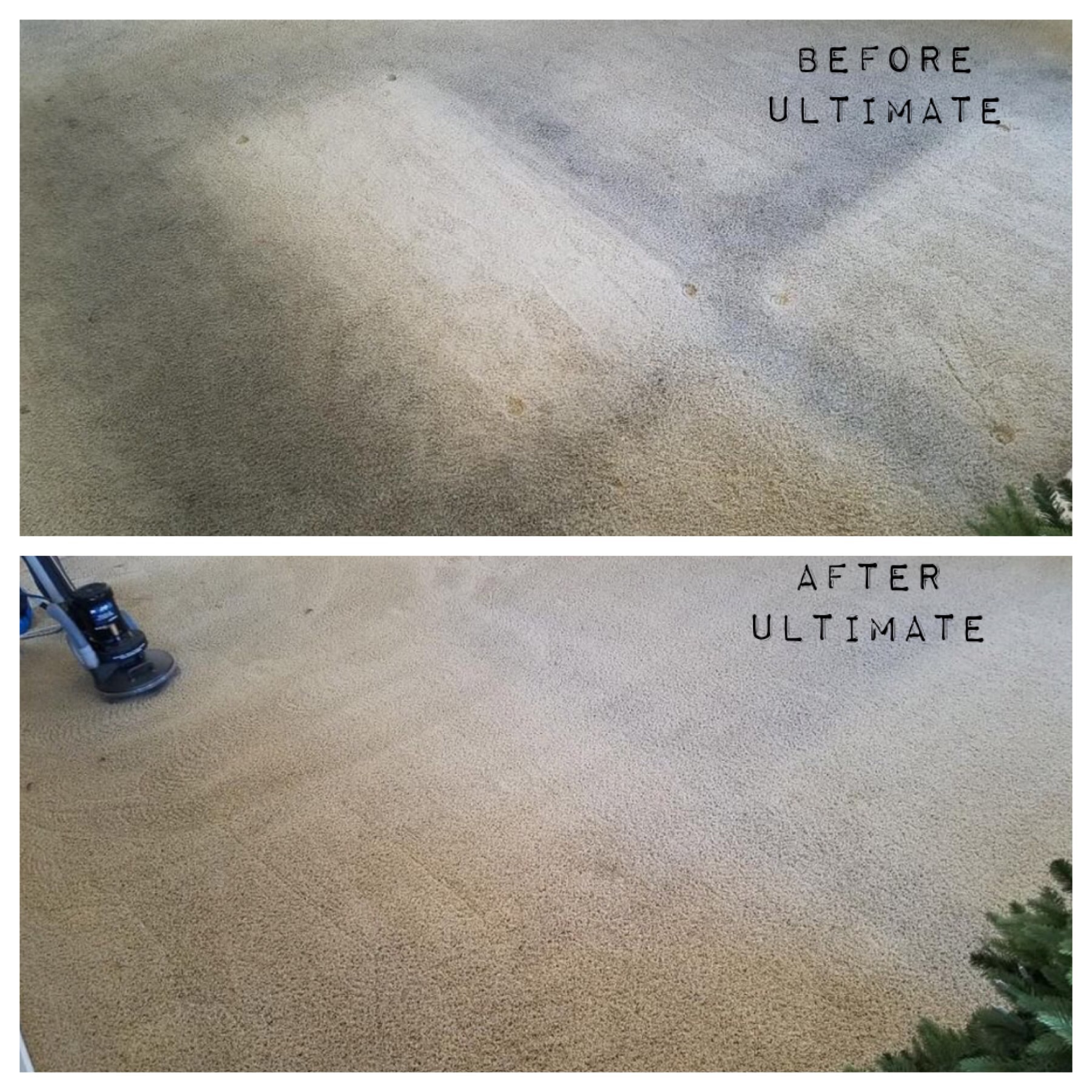 Ultimate Carpet Care