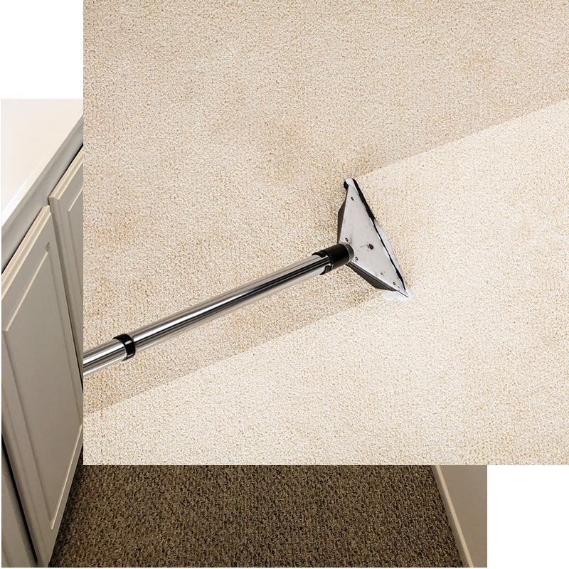 Ultimate Carpet Care Ultimate Carpet Care