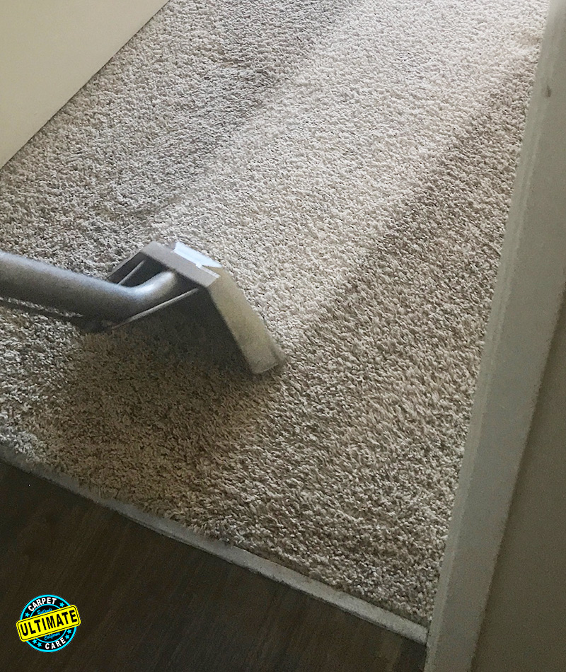 Ultimate Carpet Care